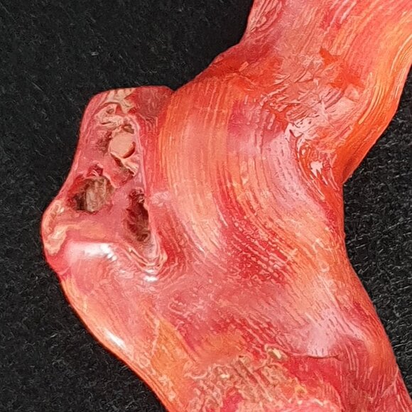 Rare Antique 575 Carat (115 gram) Natural Mediterranean Red Coral Branch - Picture 7 of 11